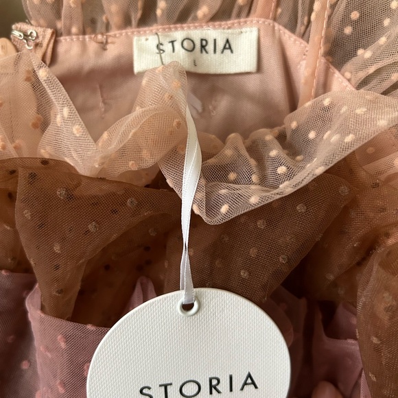 Tulle Ruffle Mini Dress - Picture 3 of 3